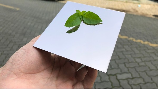 不銹鋼裝飾板加工需要注意什么？